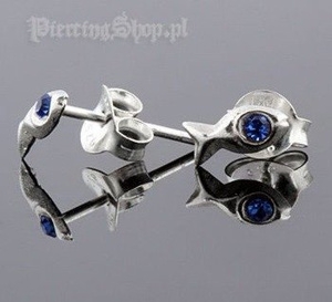 kolczyki do uszu RYBKA NIEB