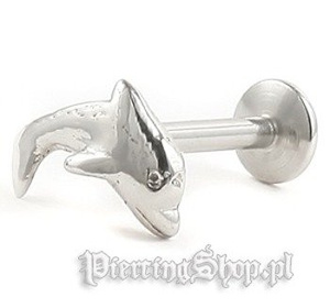 kolczyk do wargi MICRO LABRET DELFIN grubość 1,2mm kolczyk do wargi MICRO LABRET DELFIN grubość 1,2mm