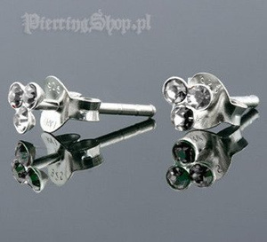 kolczyki do uszu KÓŁECZKA CR